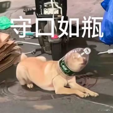 现在的手表已经发展成这样了吗 入手运动手表一段时间，整体使用感受很不错，外观造型