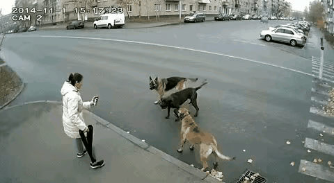 这是过去的一张老画面，但是今天看起来还是感觉很有意思的，女子的反应还是比较机敏的