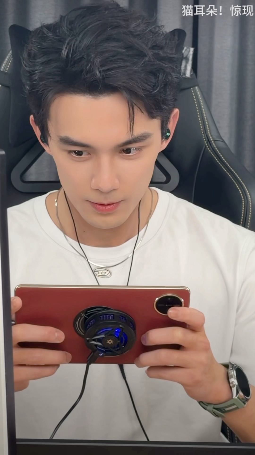 烙铁你是说有这么可爱的吴磊猫猫，工作室偷偷发日常不发原视频吗