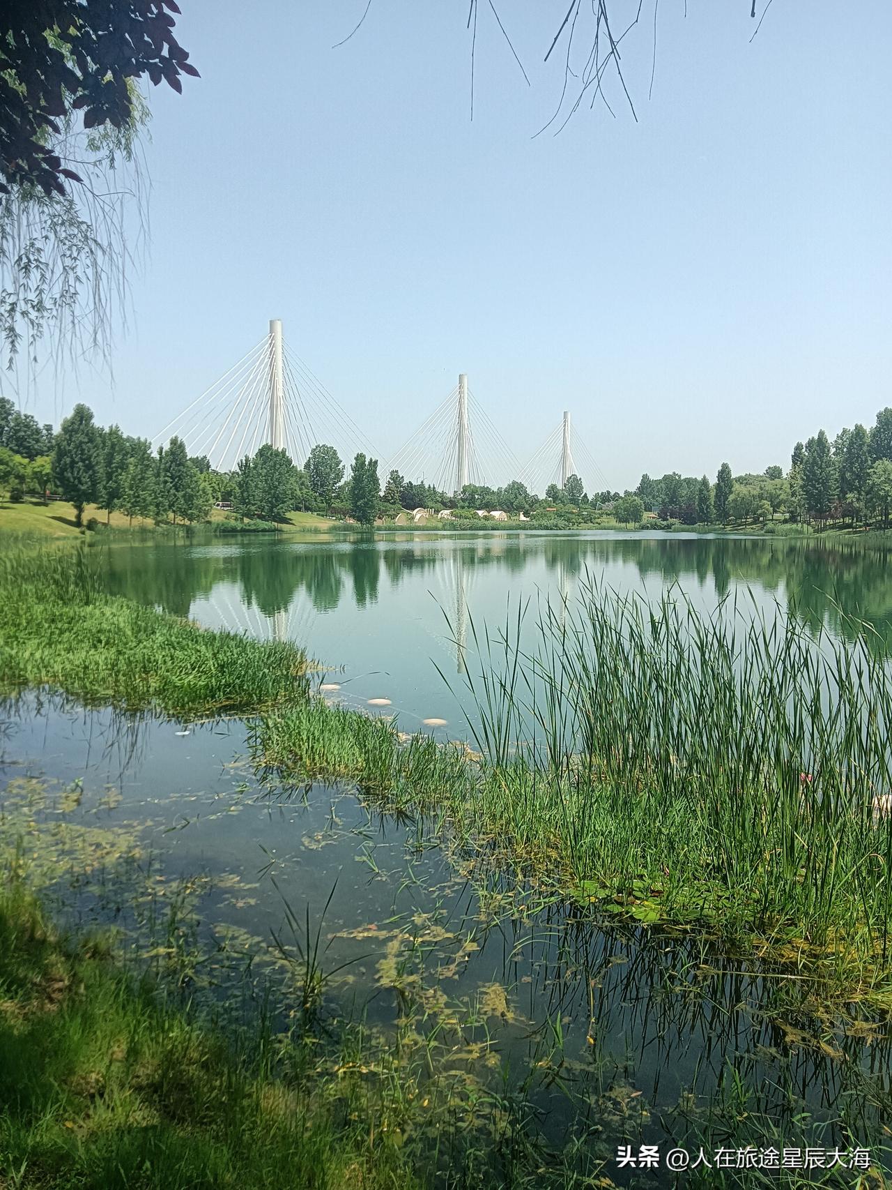 梁家滩运动公园，一个毗邻沣河水系的自然绿地，是西安人近郊游的热门必选好去处！我也