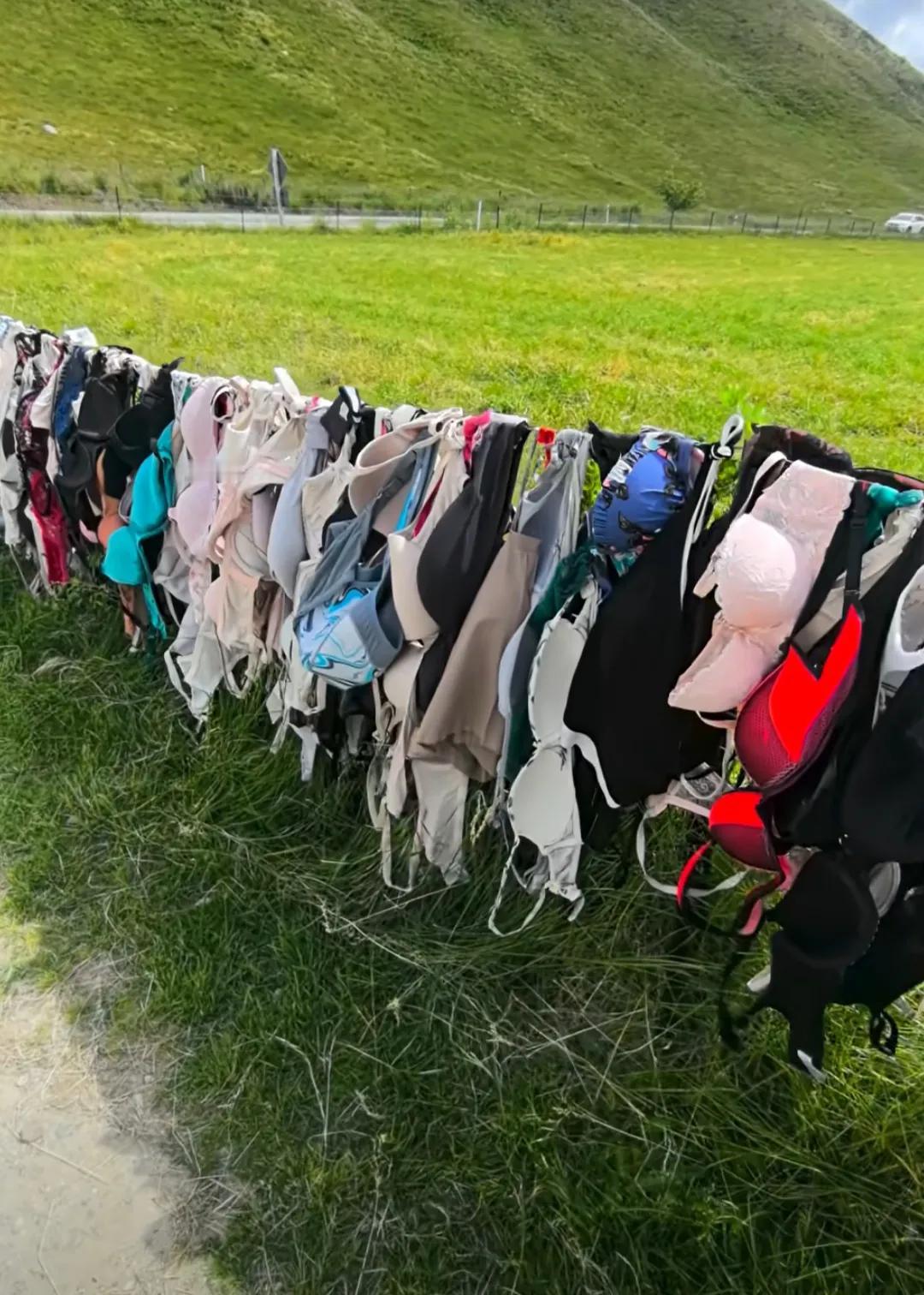 皇后镇的Bra墙，大饱眼福了吧 [笑哭]