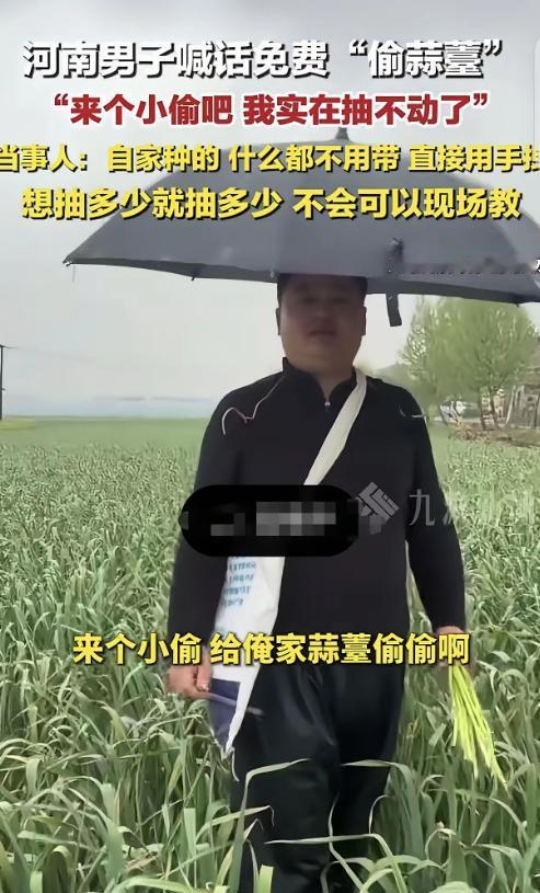 “怎么会有这么聪明的人？”河南，一男子喊话：来个小偷，给俺家蒜薹偷偷啊！男子种了