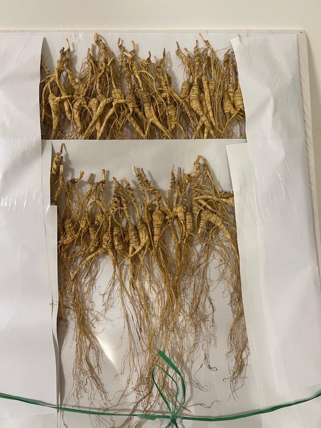 左边是好看的野山参，没舍得吃。右边的略丑一点，吃的比较安心。搞中药的朋友送的。 