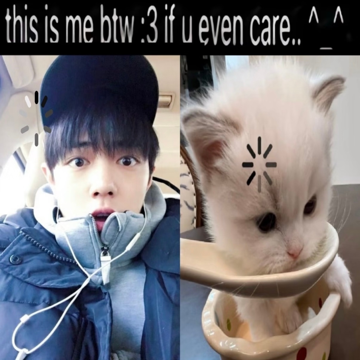 薄狗蘸猫第一好ᕑᗢᓫ ⊹   .         Λ _ΛΛ_ Λ       