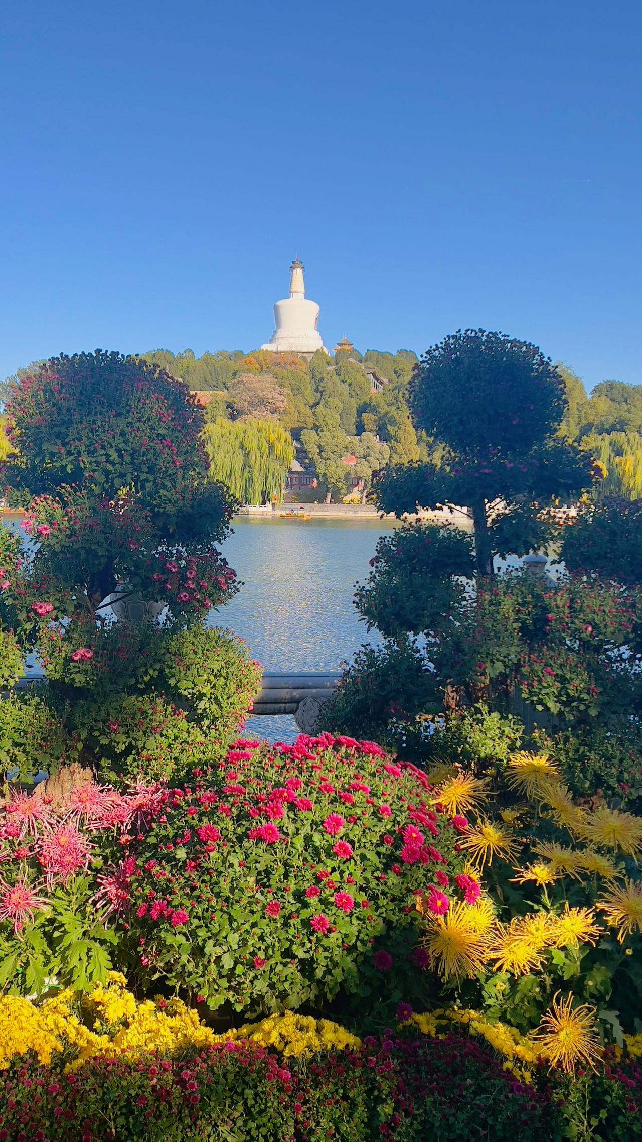 【原创】秋游北海公园：静谧湖畔，波光粼粼，白塔矗立，繁花似锦，闲庭信步，心旷神怡