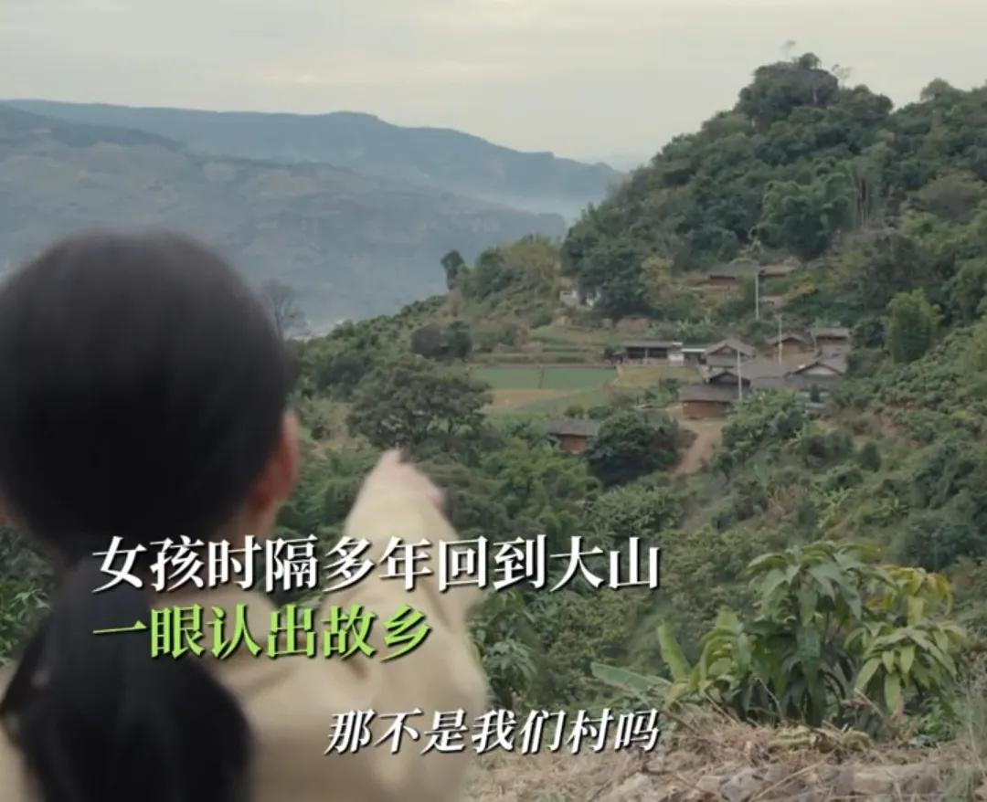 《山花烂漫时》谷雨说自己怎么会不认识自己的村，她重新回到自己长大的村里，一眼就认