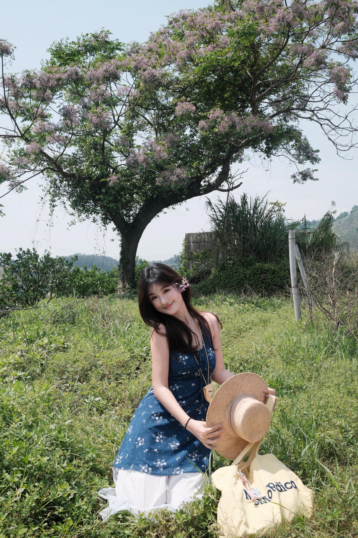 风吹过开满花的树 把夏天的温柔都吹给我了