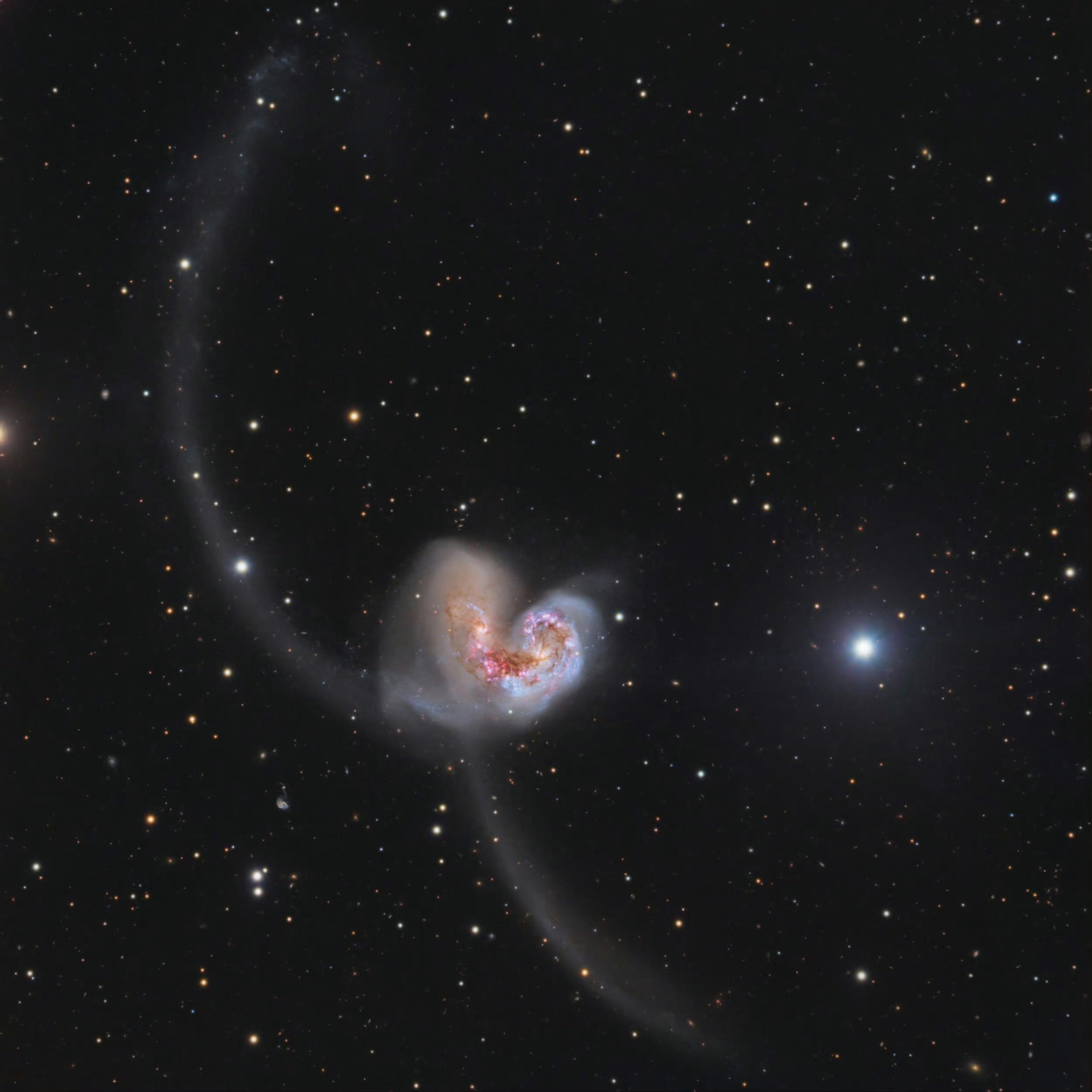 #每天一天文图# 触须星系（NGC 4038 和 NGC 4039）是一对相互作