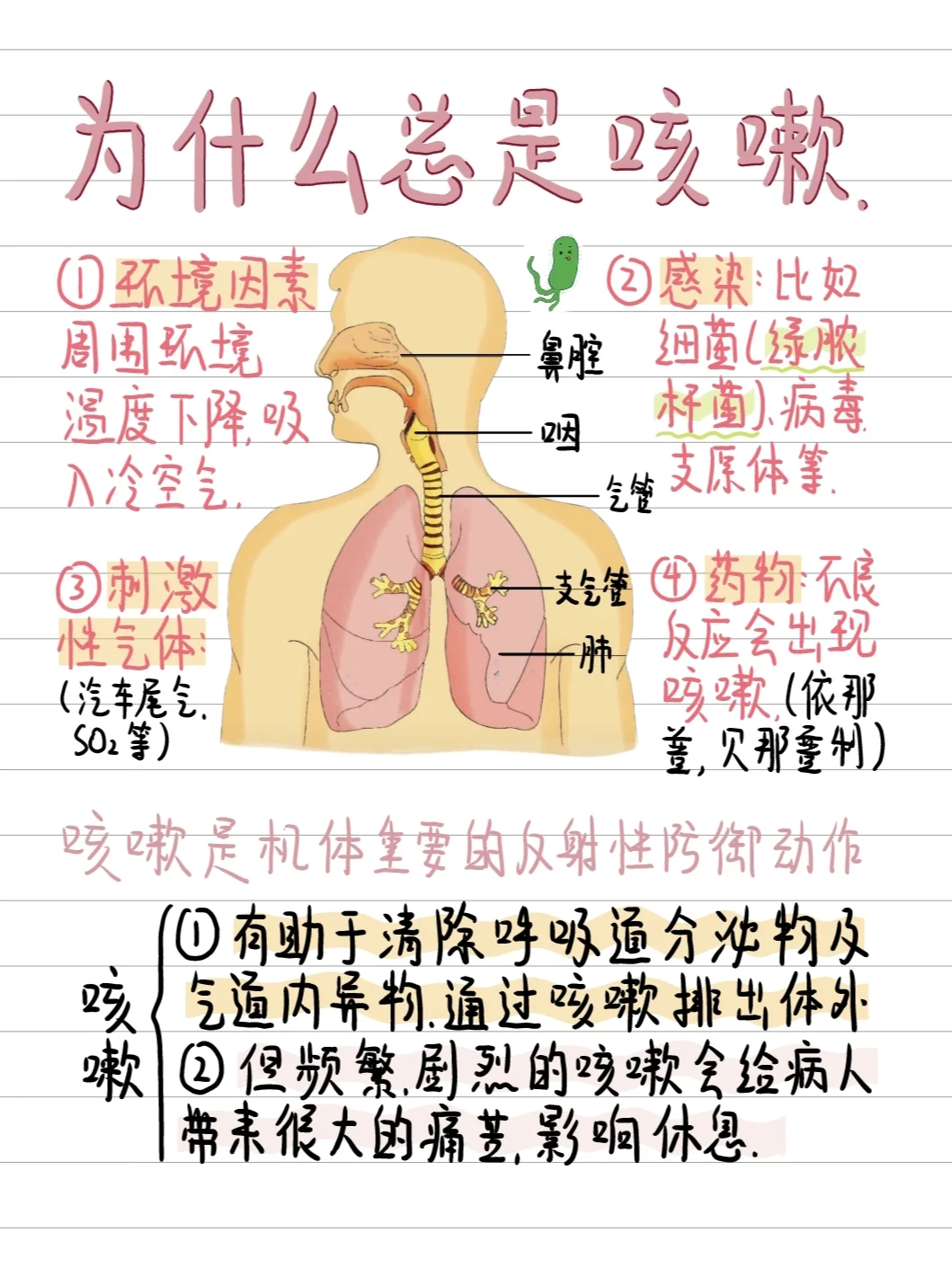 医学生笔记 咳嗽