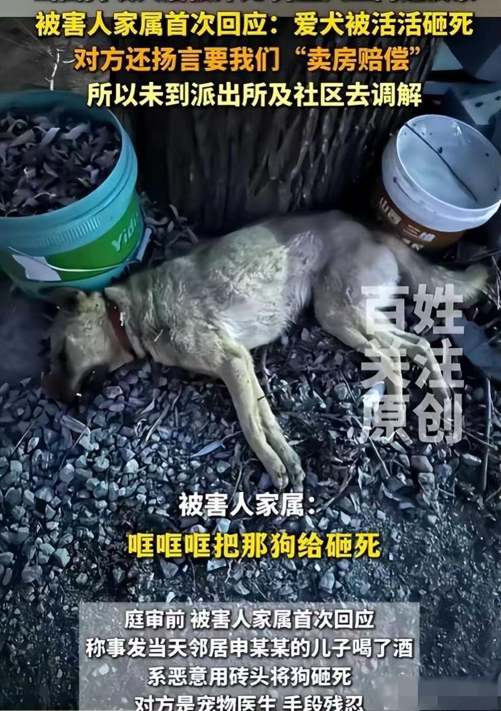 郭家的狗被邻居打死后，最难过的就是郭家小女儿，因为这条狗是她两年前在山上捡到的流