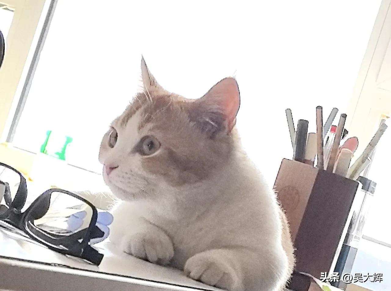 莫大的讽刺：欧盟委员会无限期推迟对俄石油全面禁运的讨论
 
欧盟委员会已将全面禁