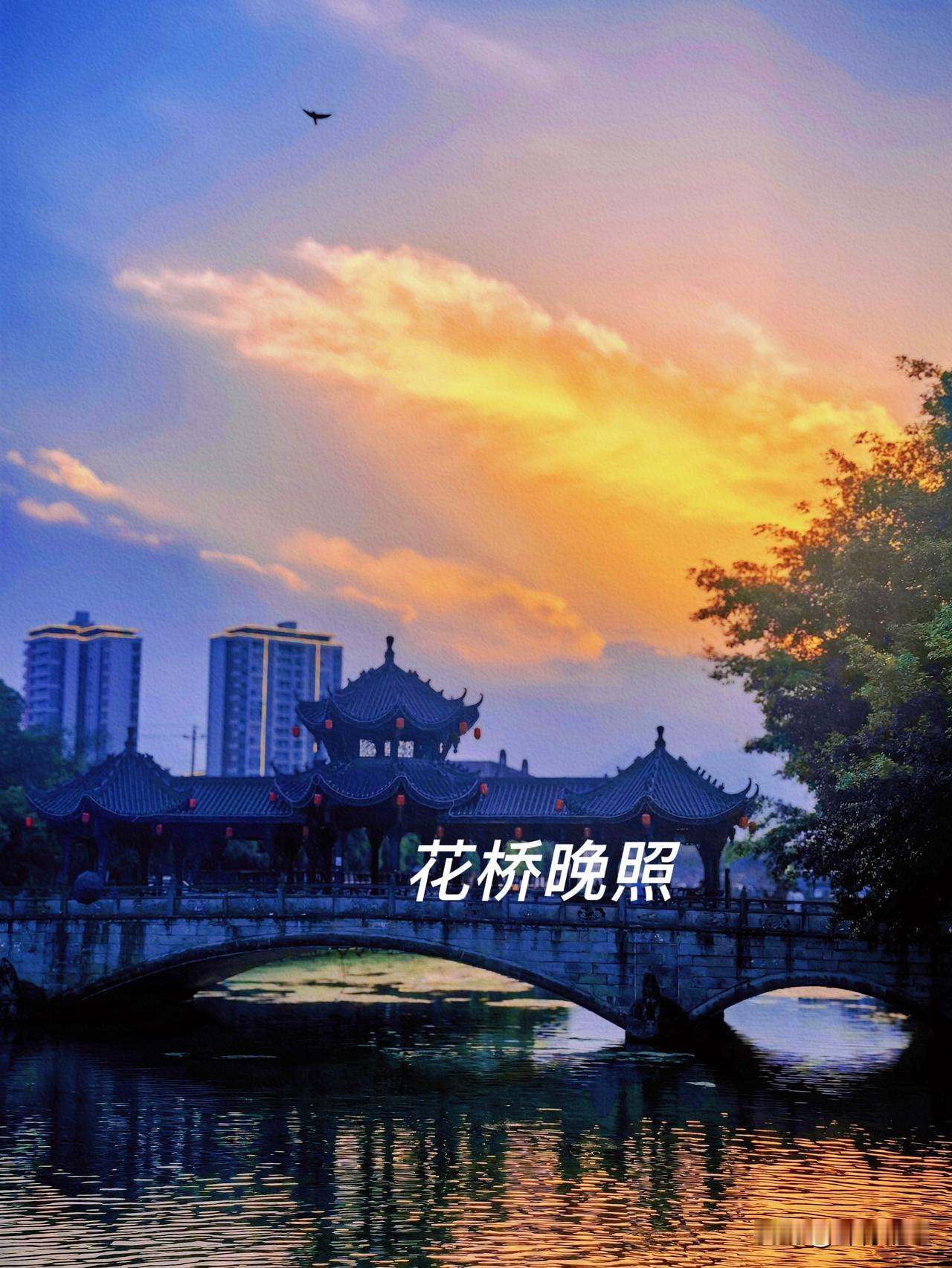 拍了很多次花桥晚照，第一次拍到有鸟从天空掠过。张张皆是风景照