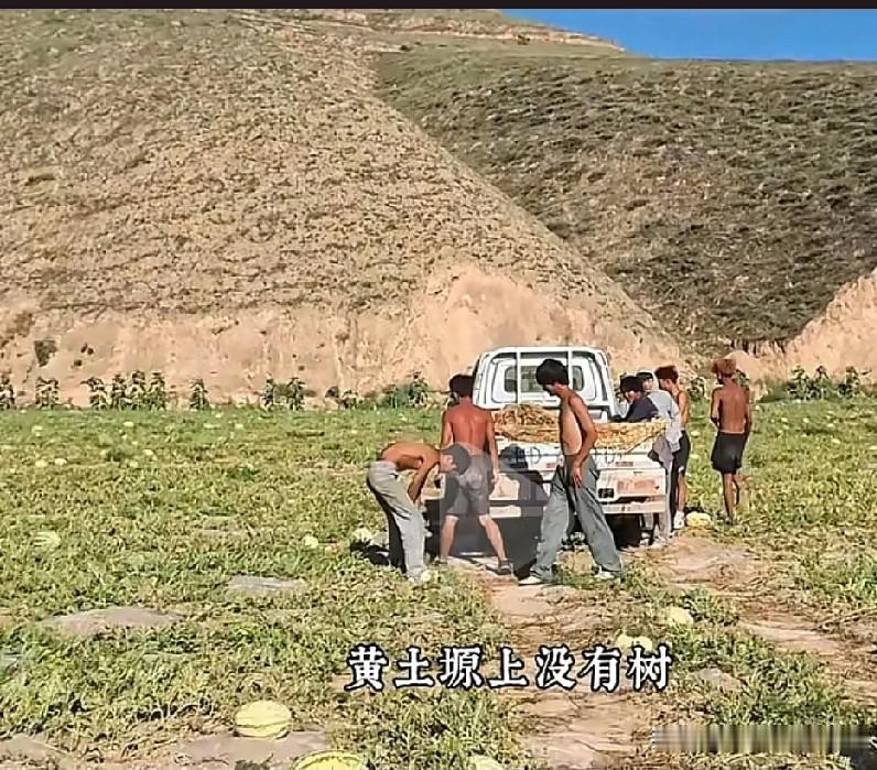 这哪里是一群社会小黄毛？是一群懂事的孩子啊！！
可能他们只是学习不好，但是他们理