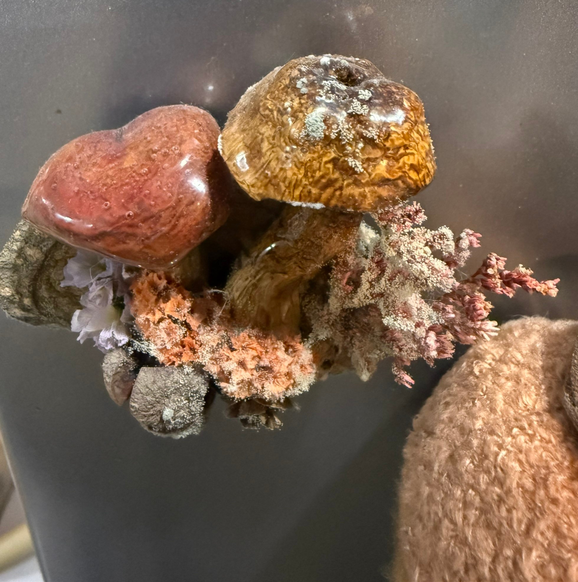 之前总说南方潮湿闷热，容易得筋膜炎，今天第一次具象化感受到了这份“潮”——一位住