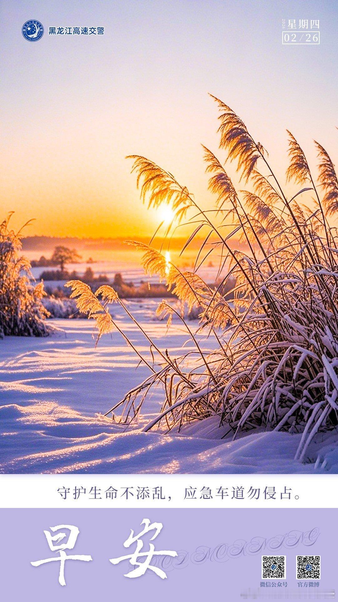 早安 守护生命不添乱 应急车道勿侵占。早安早安高小黑 （