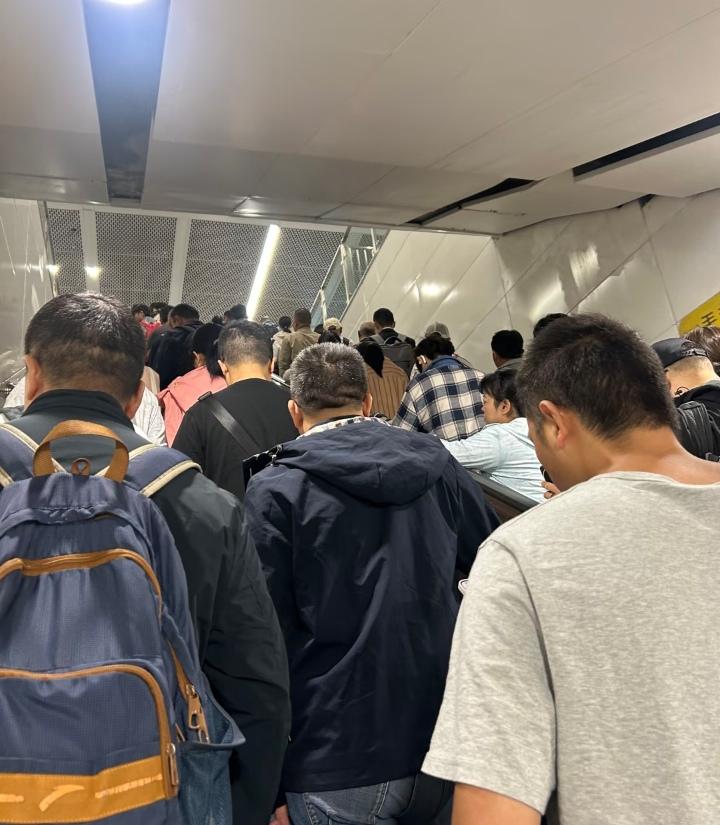 广州无法体面入冬
本来可以从从容容慢慢整理衣柜，现在却要连滚带爬拿出皱巴巴的厚衣