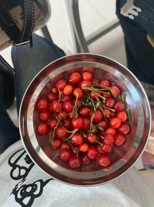 樱桃🍒｜一大盆