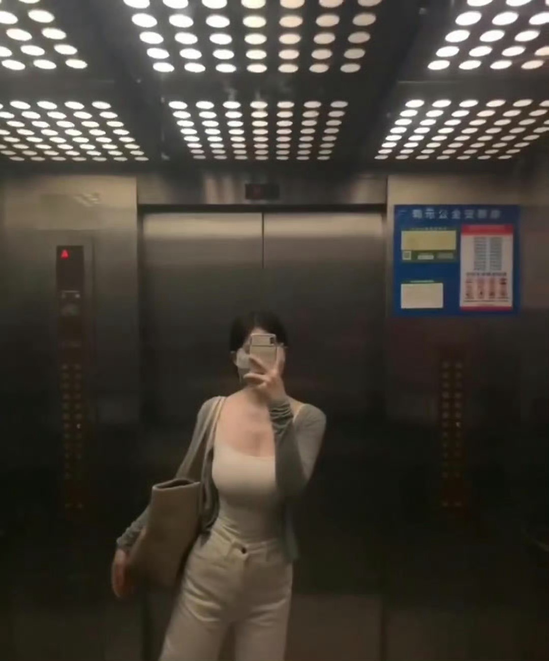 一整天都被慵懒吸收  