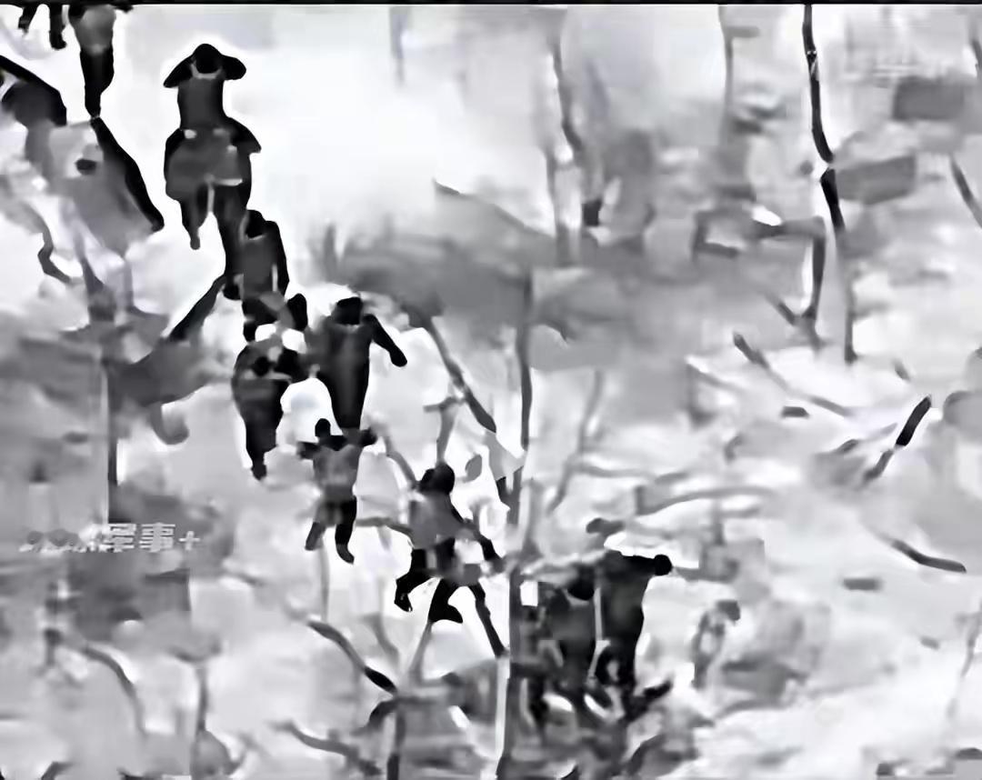 乌克兰高层最怕的事情在红军城的卫星城季米特洛夫（乌称米尔诺格勒）出现了，而且还被