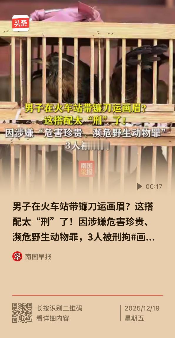镰刀配画眉？南宁火车站这波操作太“刑”！3人当场被刑拘

带镰刀、运画眉，这看似