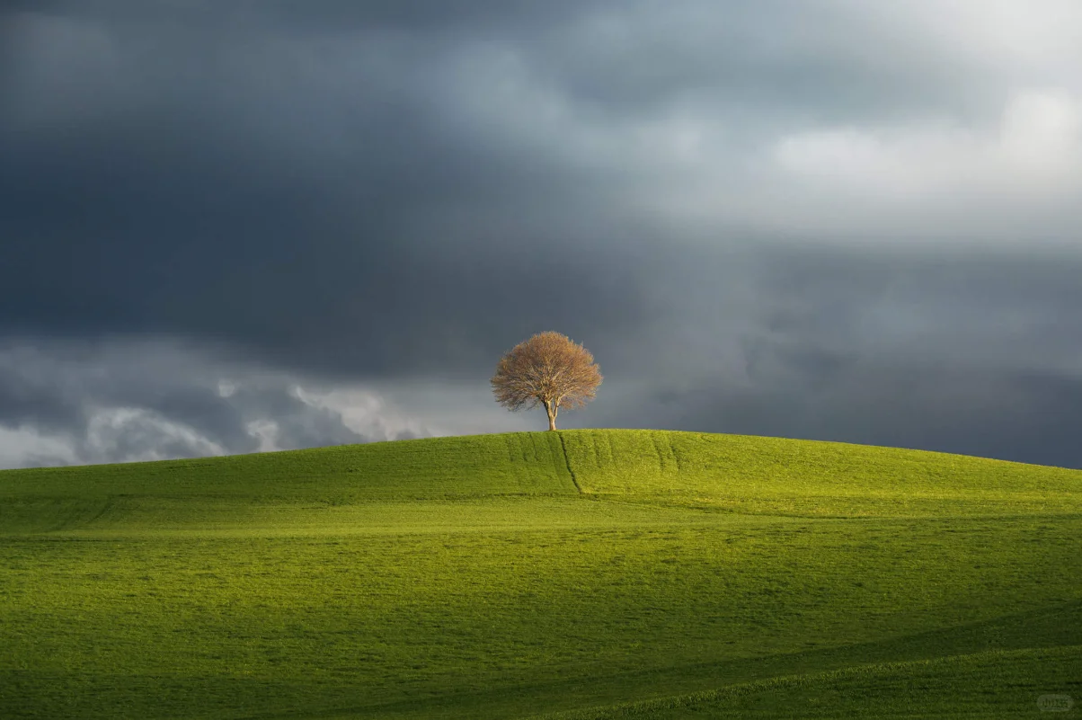 【审美提升】如何拍出极简孤独感的作品