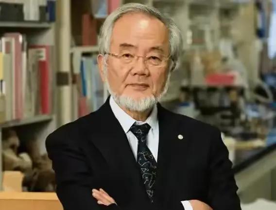 有生物学家发现：
人一但挨饿，身体就会把坏掉的细胞都 “吃掉”，给自己做一次大扫