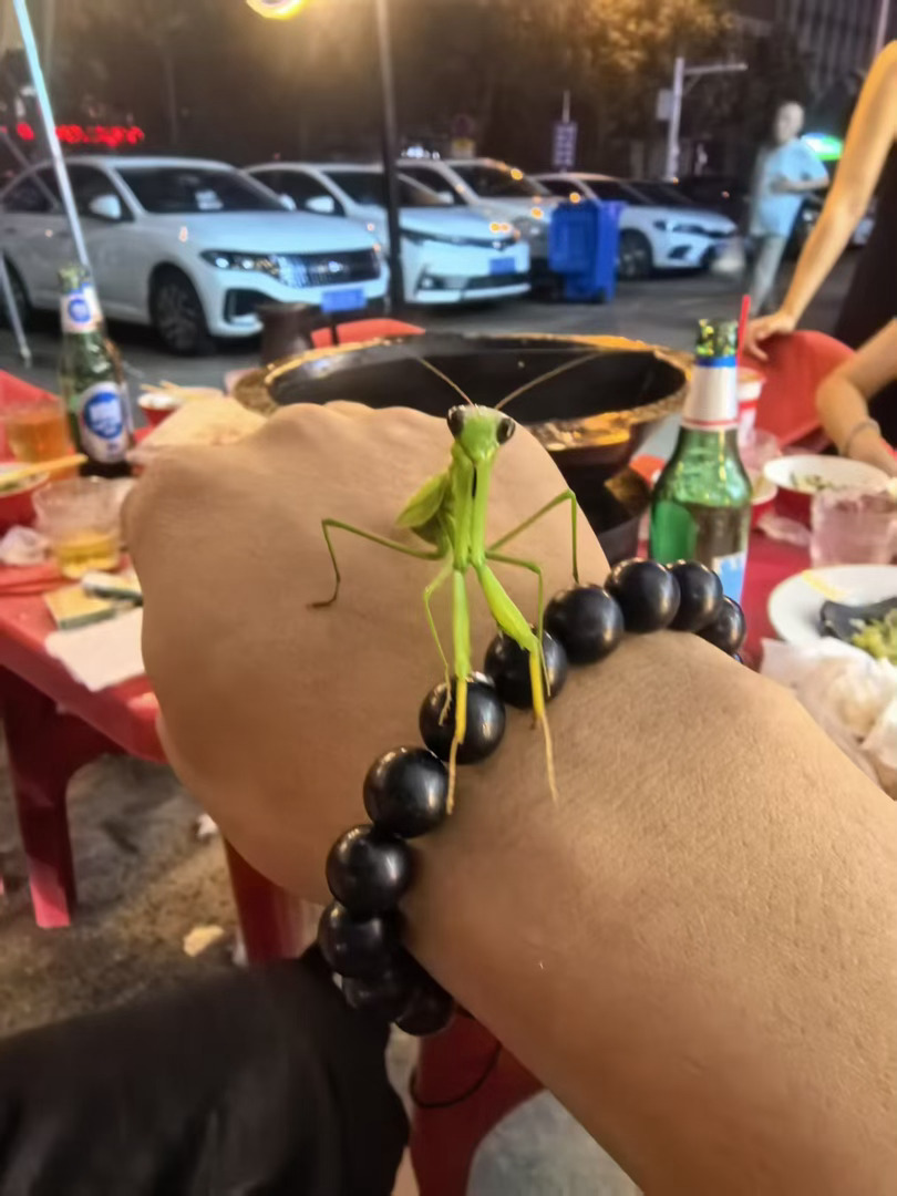 人生何所求..暴富与自由.. 
