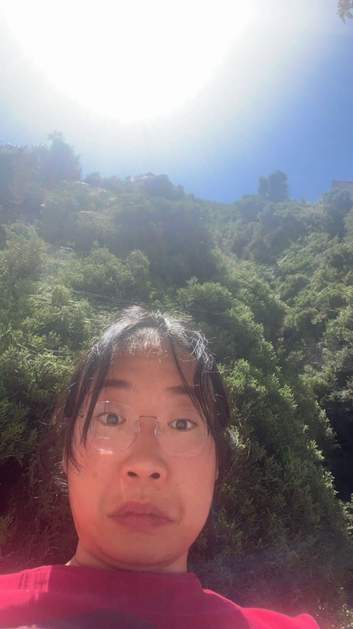 让好友感受沉浸式微信聊天 ​​​