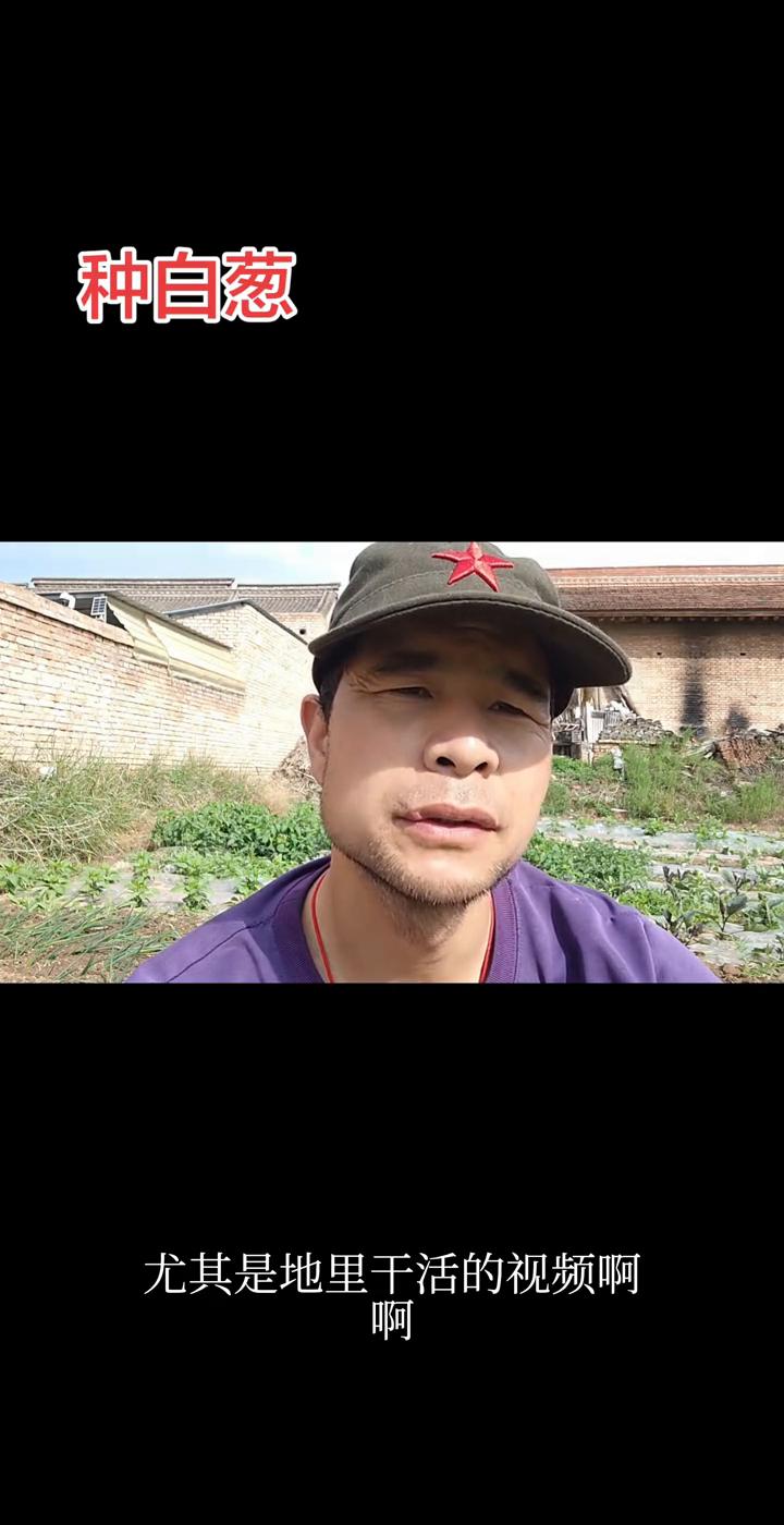 种白葱。
hello大家好，我是翔哥。好久没拍田园视频，尤其是地里干活的视频，希