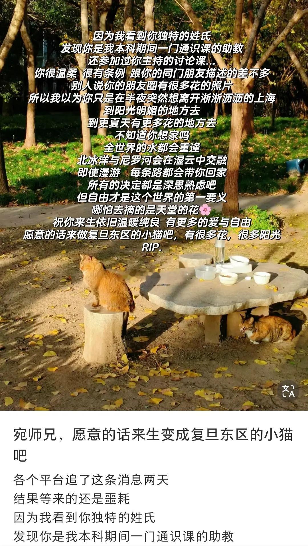 他们不管什么时候脑子里都是那点事儿对吗，甚至面对一篇悼文￼ ​​​