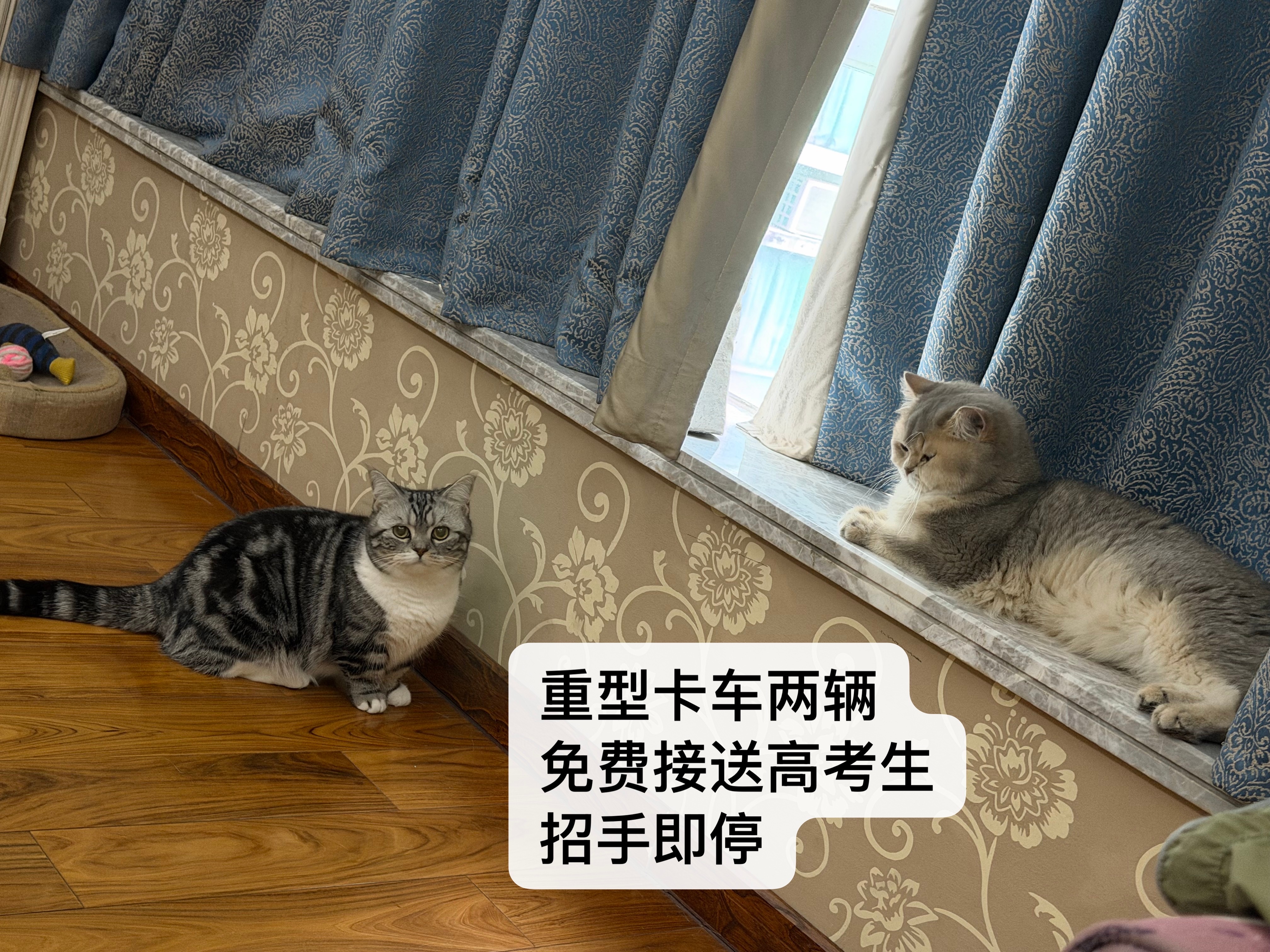 分享图片 