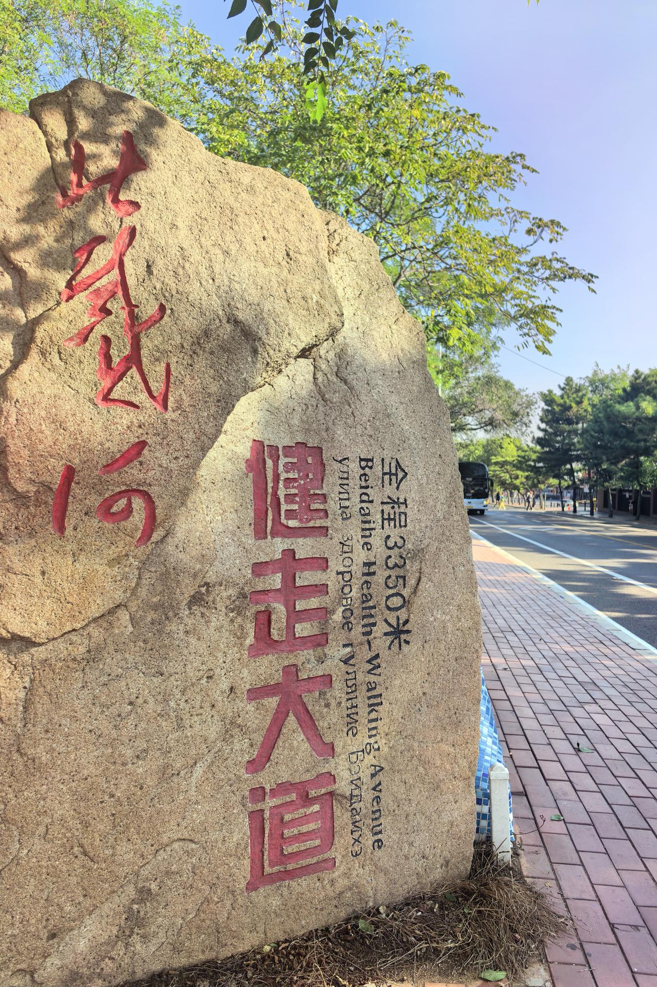 漫步北戴河健走大道｜清晨走进北戴河健走大道，全长3350米的步道被层层绿树温柔包