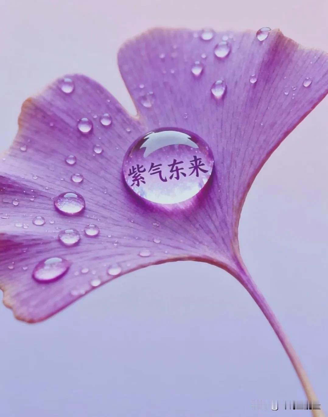 任何时候，
实力相当的人，
都最会长久。
 
成年人的世界，人情往来、感情相处、