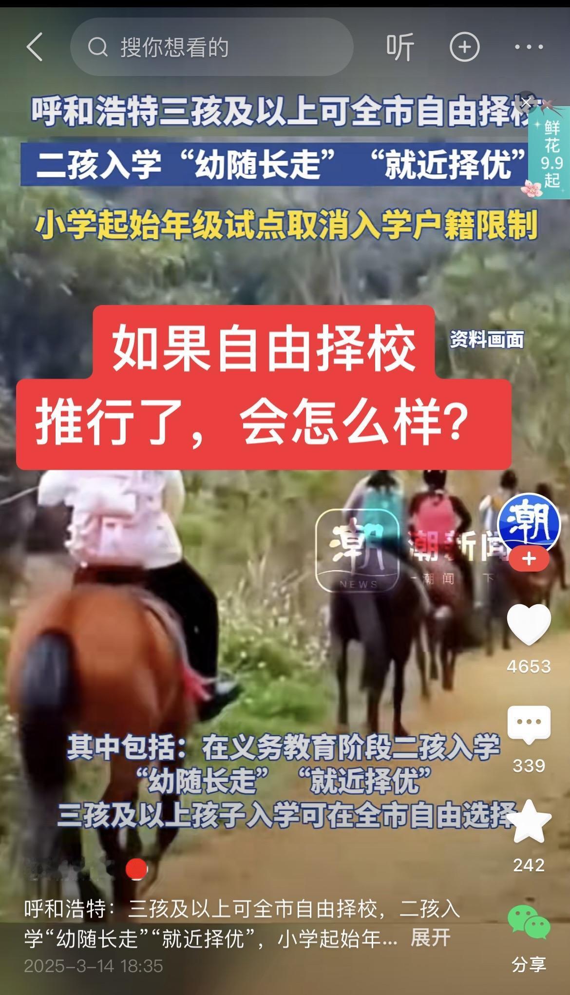 如果自由择校推行了，会怎么样？教育改革 教育规划 教育 学区