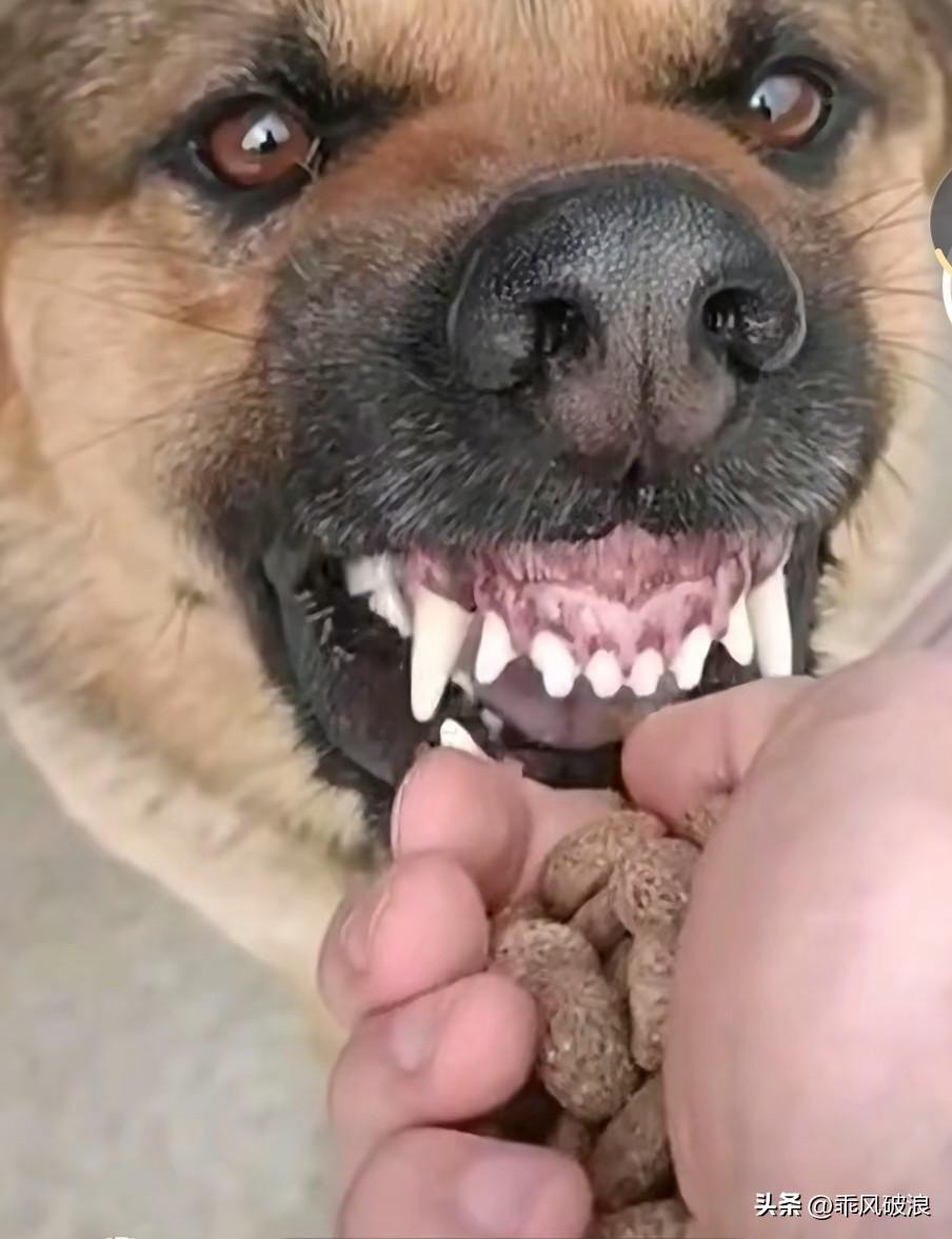 我对你已然忍让许久，对你的教导也持续了很长时间，还给了你改过自新的机会，可你却不