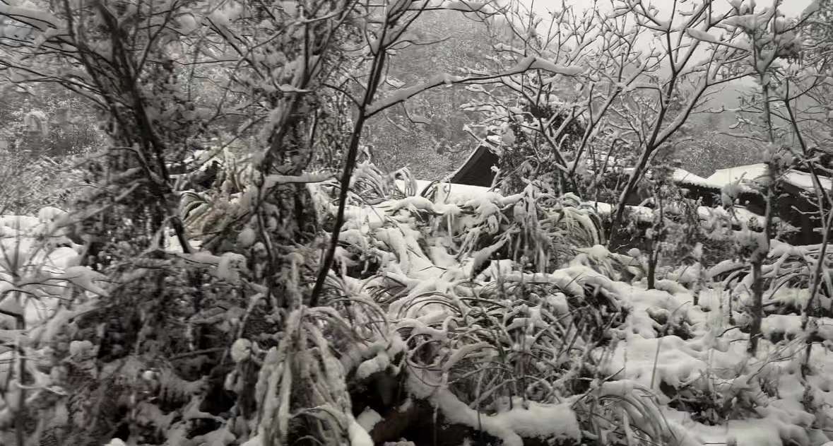 #横店下雪 爆剧#传说中的横店下雪必出爆剧，玄学这个东西，没啥道理可讲，也很难说
