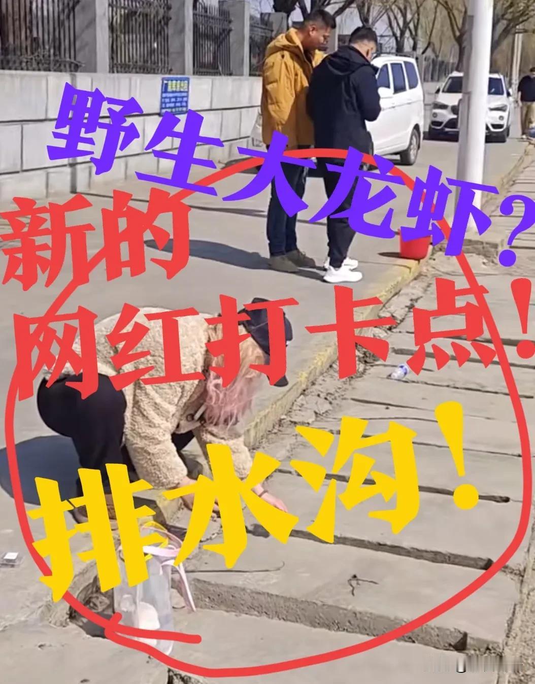 【石家庄，这个地方火了】排水沟，里边有小龙虾！看到好几个人，提着大水桶，来这里钓