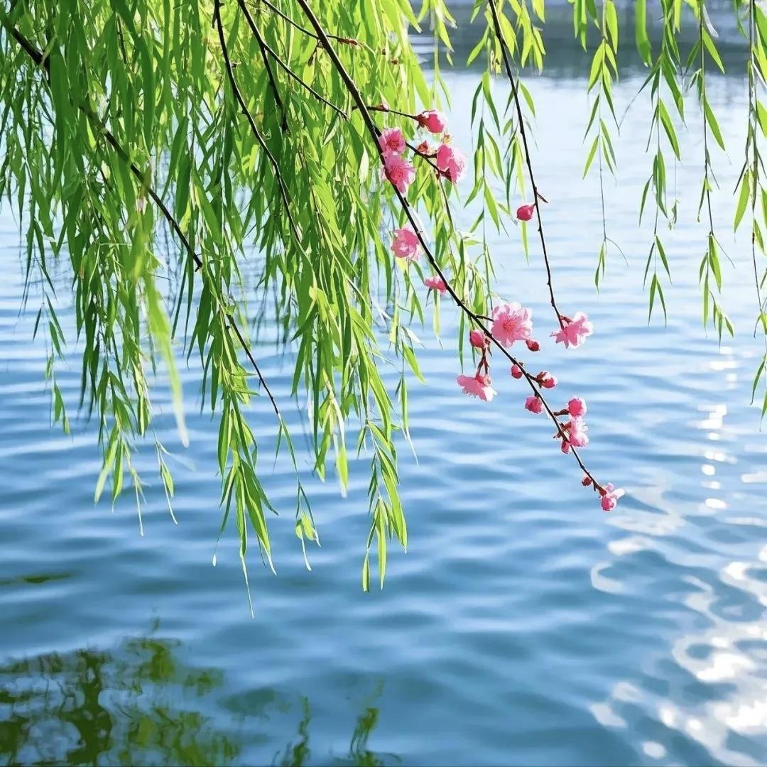 有没有人和我一样，
炒股全凭感觉？
不会看月线，也不研究周线，
直觉股不错，先入