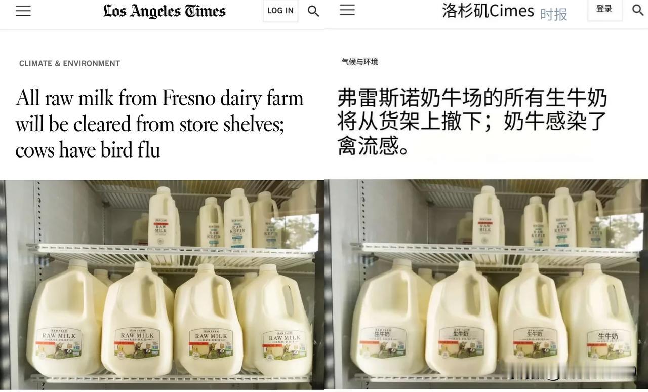 美国加州弗雷斯诺市所有的生牛奶，都被从超市货架上撤了下来。原因当地有奶牛感染了禽