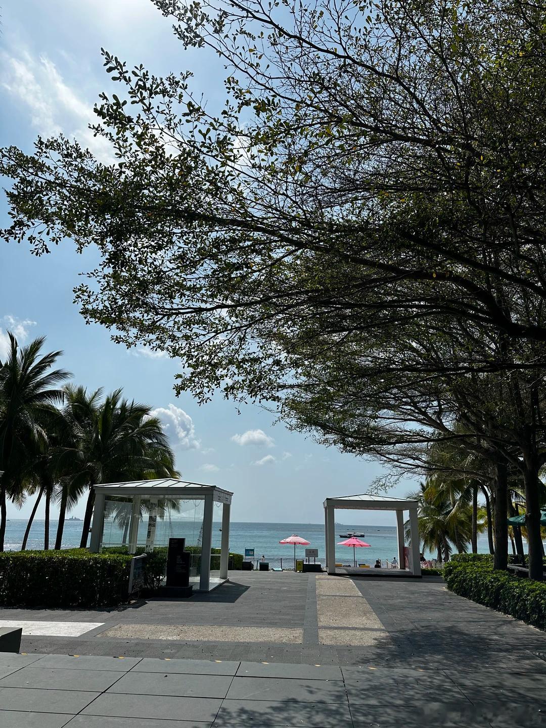 发点朋友圈吃不了的细糠🌊 