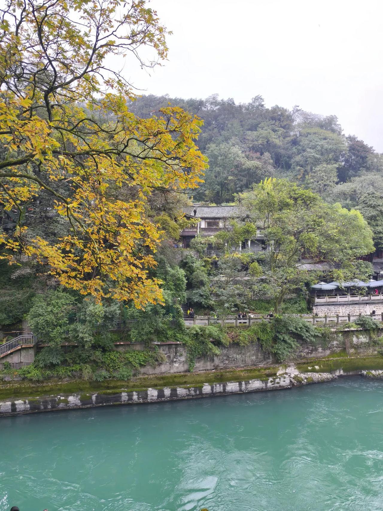 游都江堰
        南木子
拜水都江堰，
问道青城山。
匆匆半日游，
回去