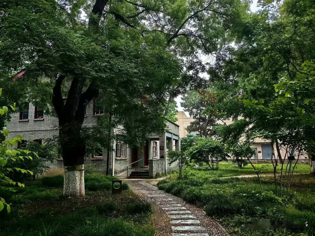 北京大学燕南园的绿意盎然粉色氛围感打卡 哪个城市机场的名字最好听 机场打卡地 北