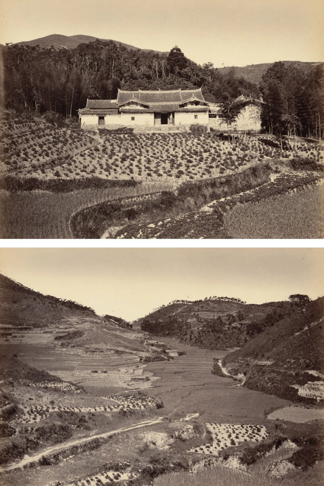 晚清福州海关税务司的鼓山之旅：1877年