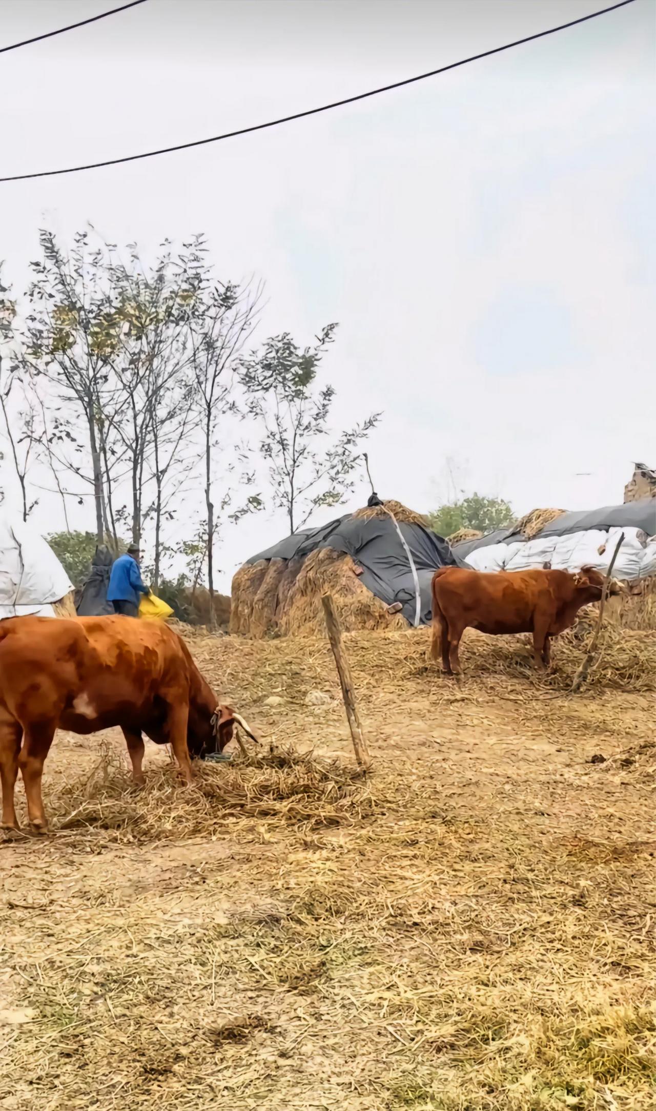 一首歌曲，是一个故事，经典歌曲分享大家一一一
