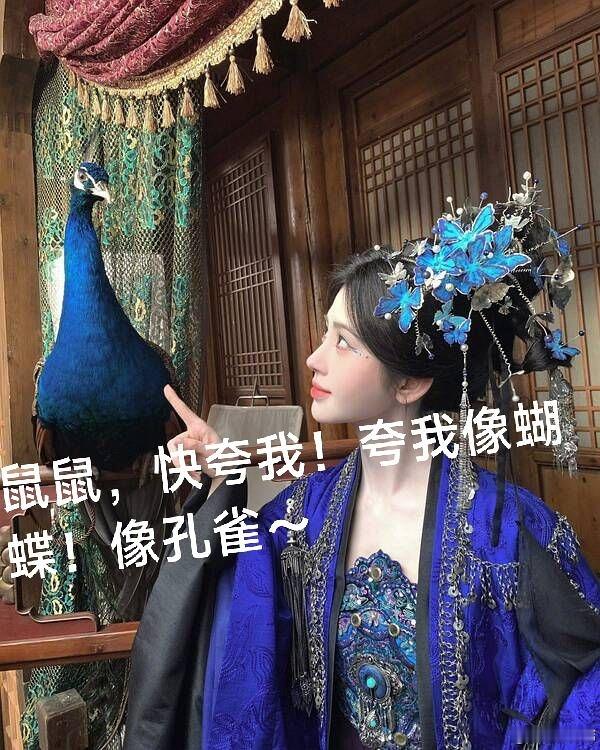 鞠婧祎苏绿夏 哎呀，头上是蝴蝶，旁边蹲着孔雀，又对上了不是