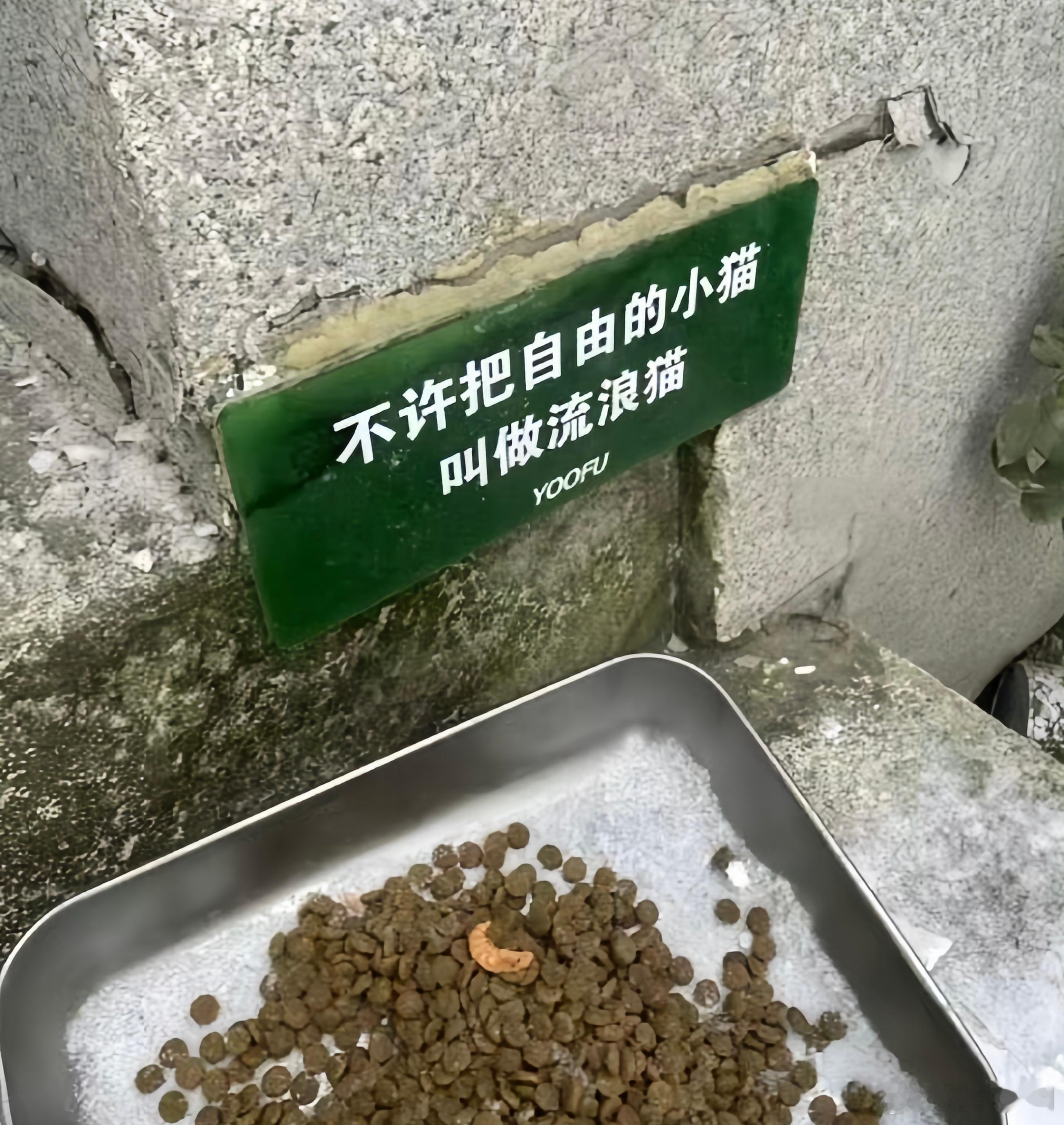 《不许把自由的小猫叫做流浪猫》1、失业说成待业、待业说成灵活就业、灵活就业说成自