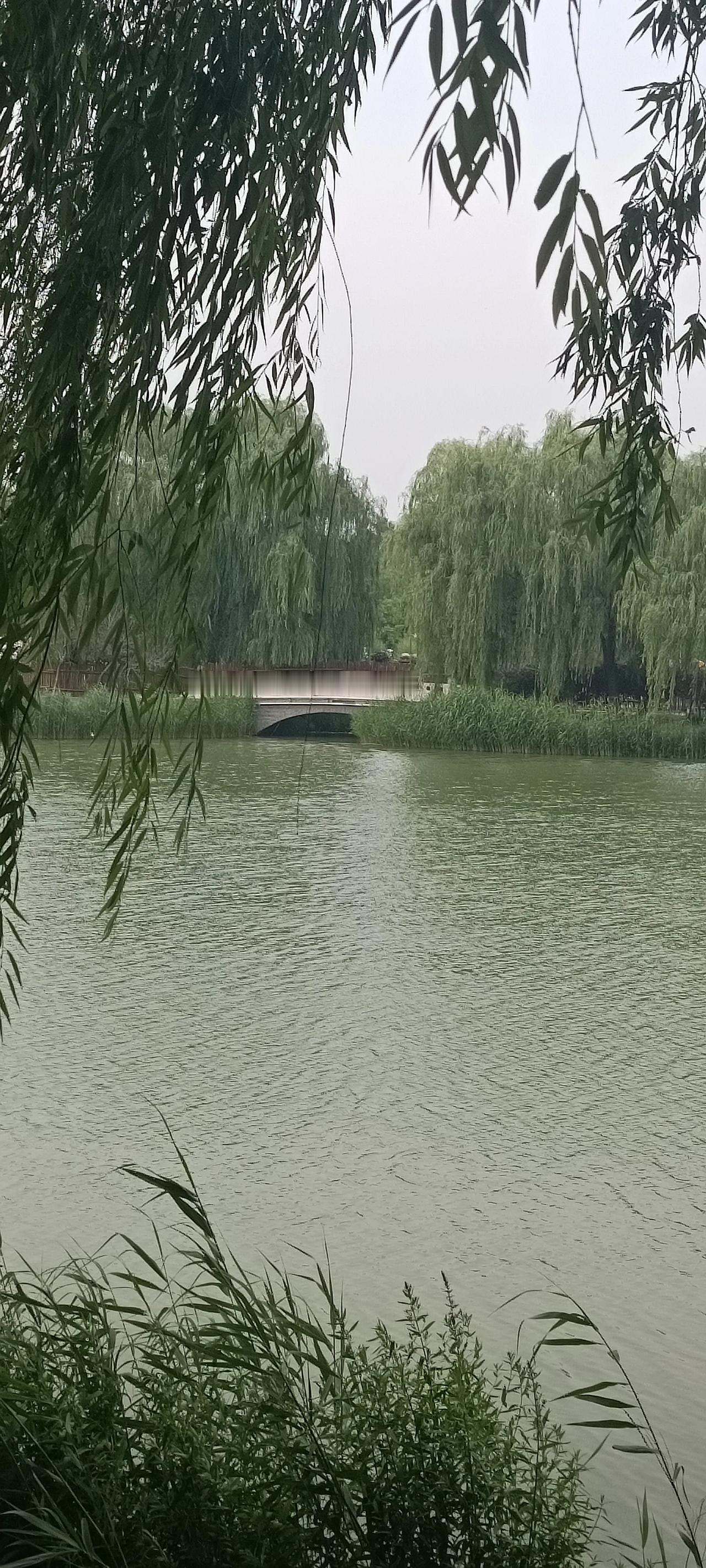 中朝两国于1961年签署《中朝友好合作互助条约》，朝鲜是目前中国唯一通过双边条约