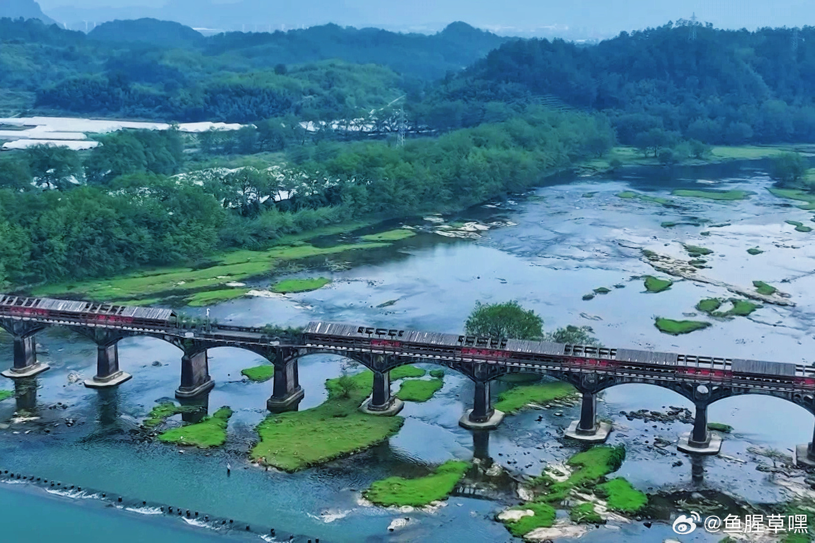 丽水松阳以鱼护水共建生态家园 放鱼养水，共护清流✨松阴溪增殖放流进行时！22万尾