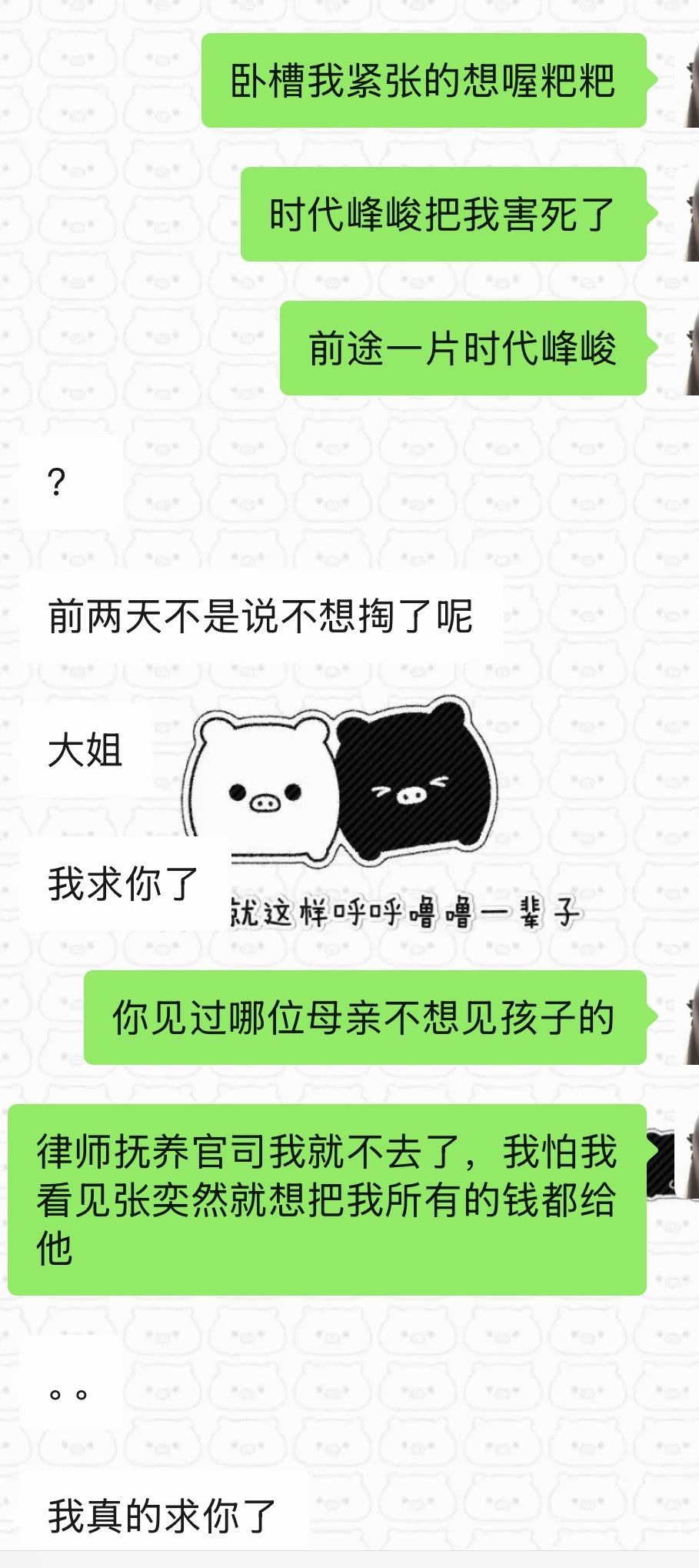 律师抚养官司我就不去了，我怕我看见张奕然就想把我所有的钱都给他 
