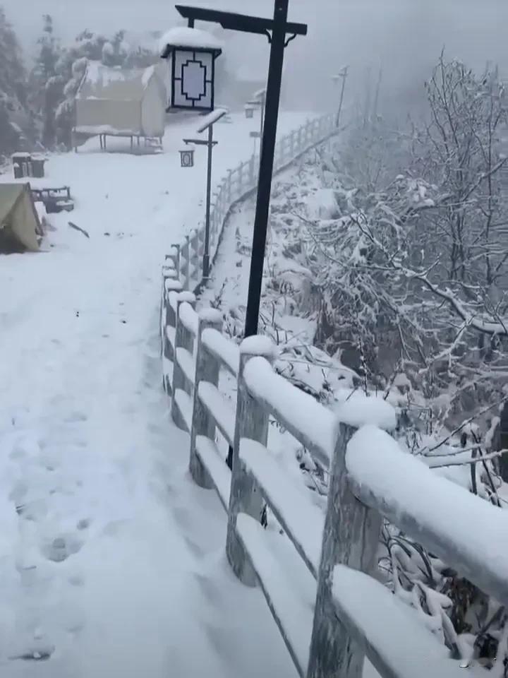 烟台文来冷空气了
把脚冻的猫咬狗啃的
这个天真叫他草鸡了
这个雪就捂弄不住了
道